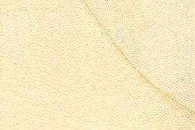 goatskin