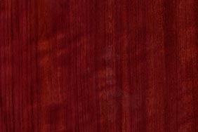 amaranth