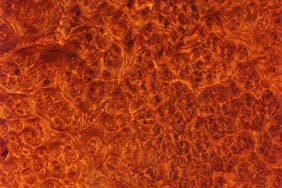 Amboyna burl