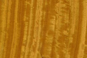 ceylon satinwood