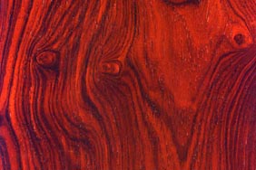 Cocobolo