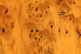 english yew wood