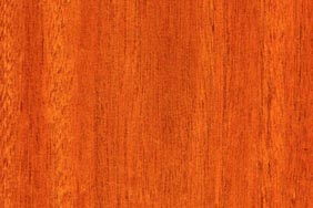 honduras mahogany