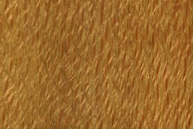 lacewood