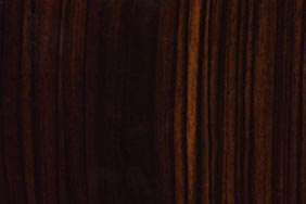 macassar ebony quartered