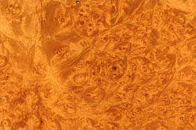 maple burl