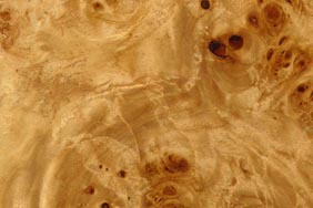 mappa burl