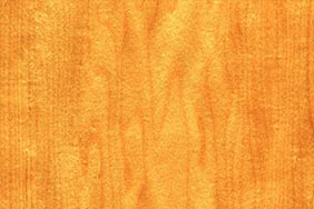 plain sliced maple