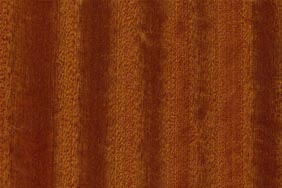 ribbon striped sapele