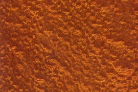 small blister pommele sapele