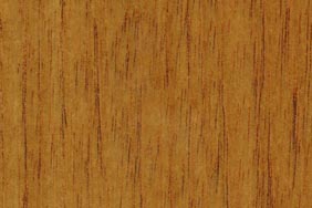 spanish cedar