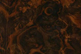 walnut burl