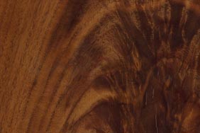 walnut crotch