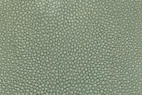 Shagreen